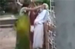 Woman beats up elderly mother-in-law for plucking flowers without permission in kolkata